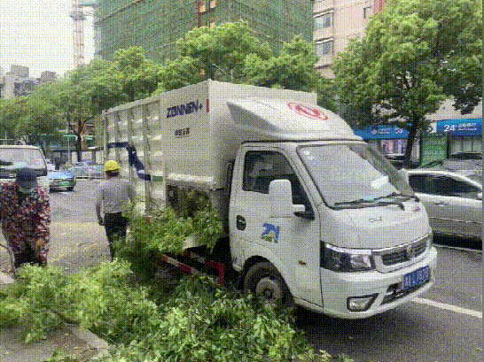 开云 开云体育APP重磅！住建部：开展城市园林绿化垃圾处理和资源化利用试点(图6)