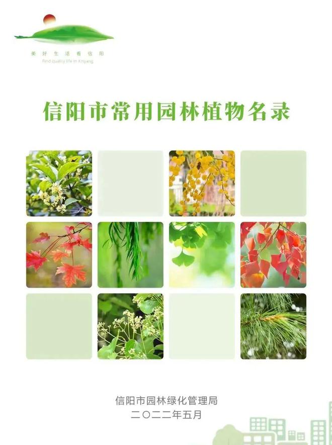 中心城区匠心打造信阳特色园林绿化开云 开云体育官网(图2)