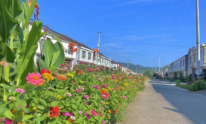 汉中一县建成口袋公园6个！开云体育 开云平台(图2)