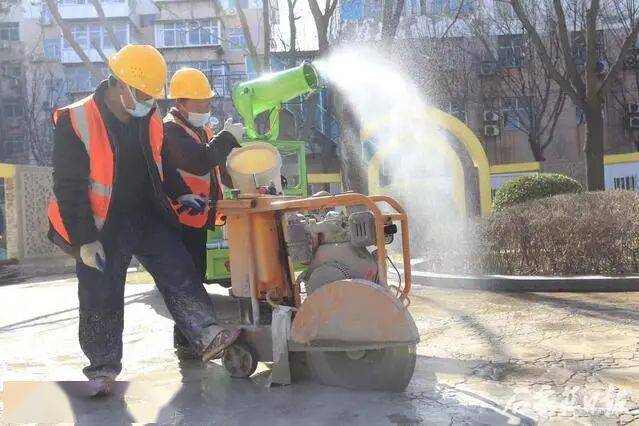 开云 开云体育平台石家庄80个园林绿化项目全面开工 预计年底前全部完工(图2)