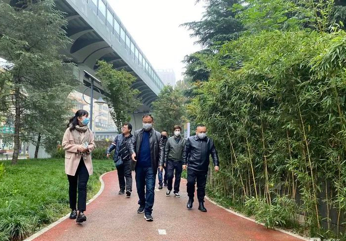 西安市城管局督导组检查碑林区园林绿化精细化管理及安全生产工作开云体育 开云平台(图1)