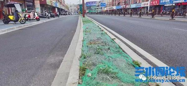开云体育 开云官网兴化园林中心值得表扬(图2)