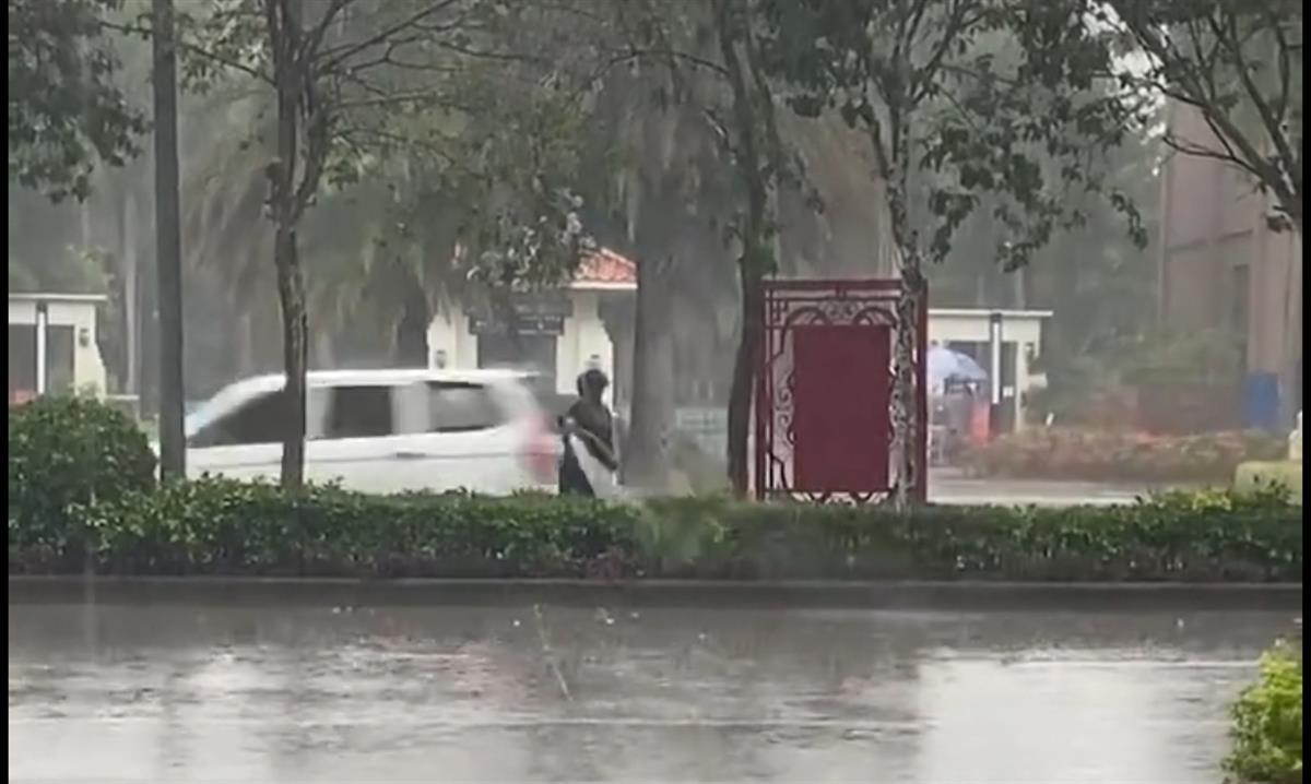 官方回应“工人雨天给绿化带浇水”开云 开云体育：突遇雷阵雨关水泵后管内余水须排掉(图1)