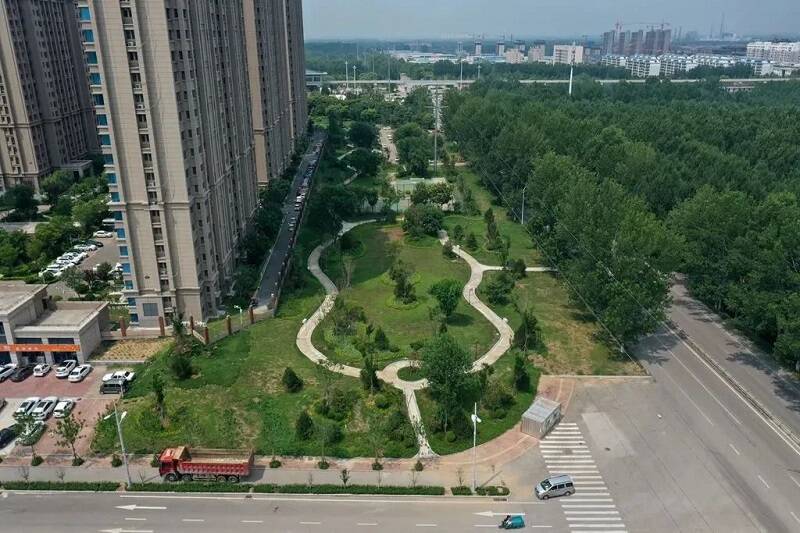 开云 开云体育平台邹城：全力实施园林绿化 提高市民满意度(图2)