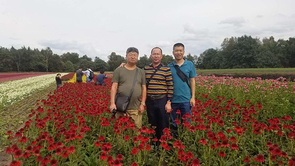 绿水青山开云体育 开云平台与绿化苗木(图2)