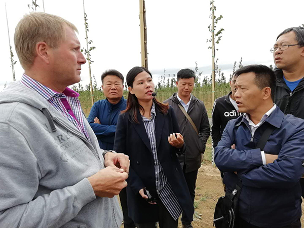 绿水青山开云体育 开云平台与绿化苗木(图6)