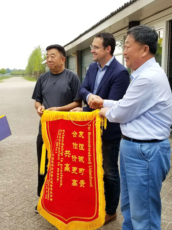 绿水青山开云体育 开云平台与绿化苗木(图10)