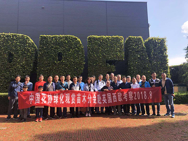 绿水青山开云体育 开云平台与绿化苗木(图11)