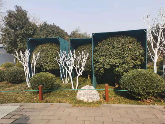 济南：全市园林和林业绿化系统积极采取措施开云 开云体育应对寒潮天气(图4)