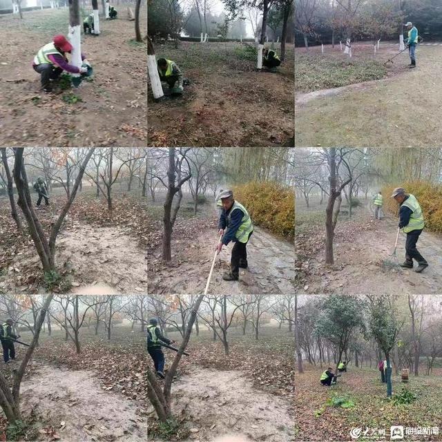 开云体育 开云平台潍坊园林绿化养护“五部曲”守护苗木安全过冬(图2)