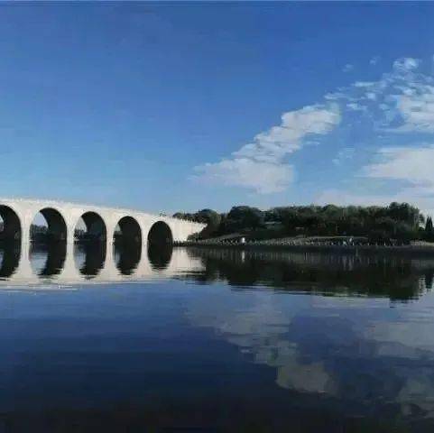 开云体育 开云官网2022年通州区园林绿化局保护大鸨在行动！(图6)
