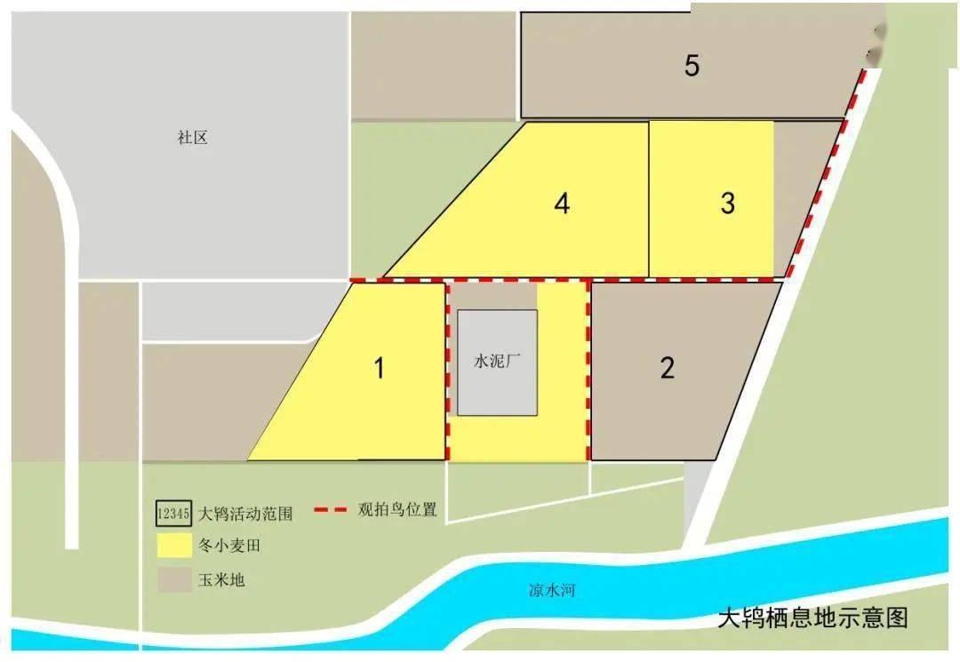 开云体育 开云官网2022年通州区园林绿化局保护大鸨在行动！(图7)