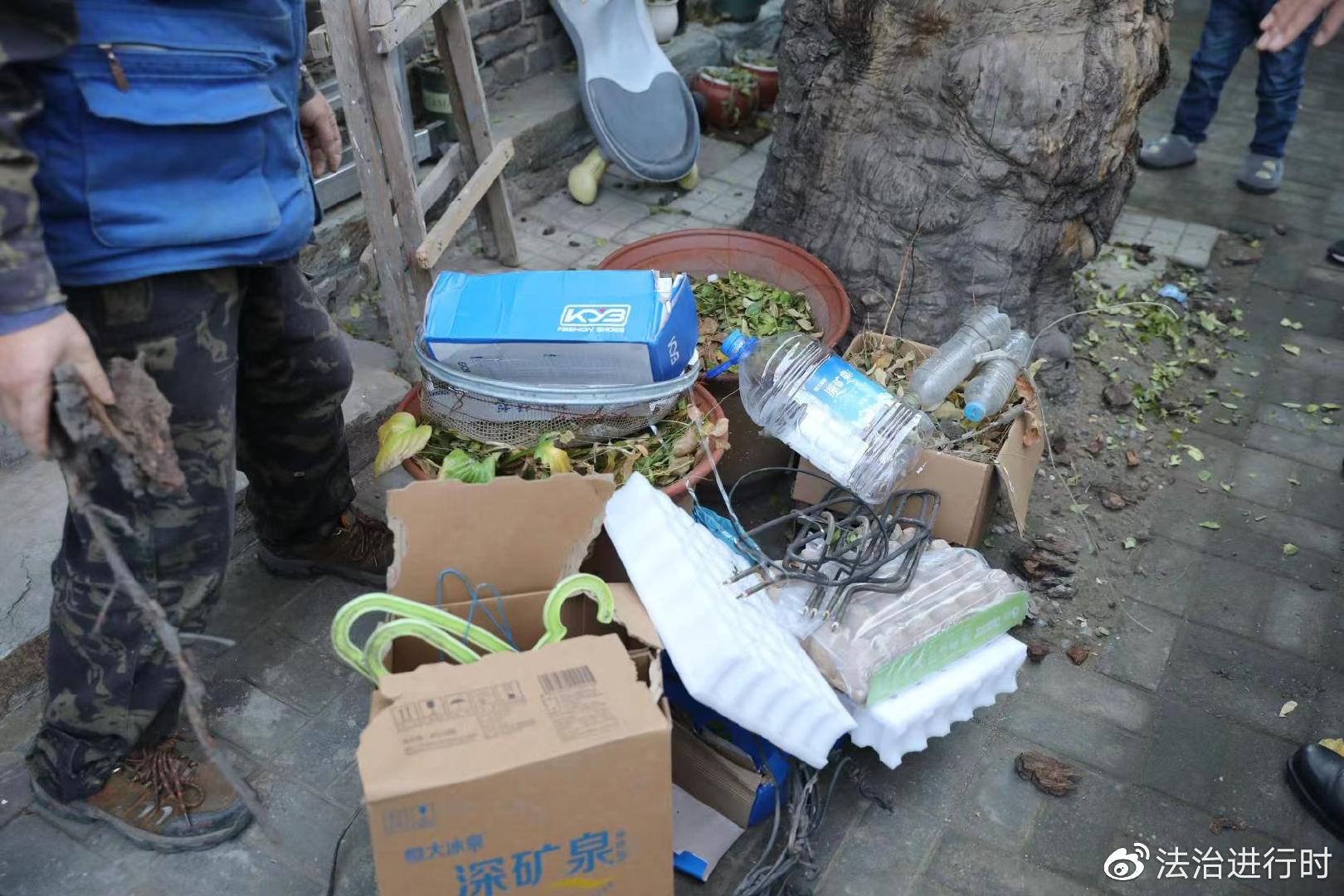 开云 开云体育APP为古树“解绑” 守护古都园林绿化(图4)