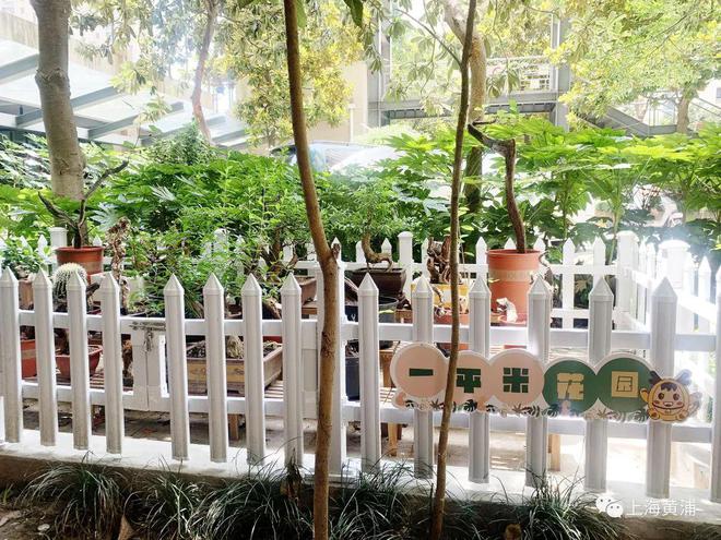 开云 开云体育官网社区边角绿地变身小花园！(图4)