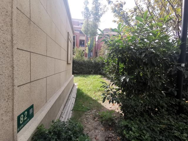 毁绿！圈地！围院子！交房才一年沪上开云体育 开云平台这小区乱到“面目全非”(图2)