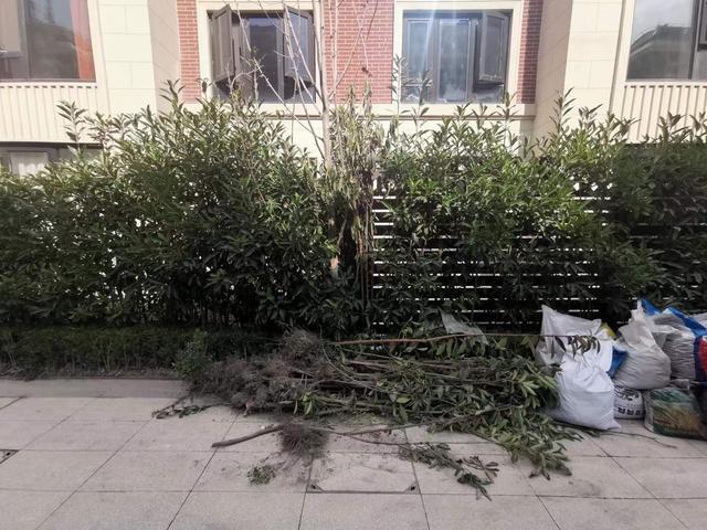 毁绿！圈地！围院子！交房才一年沪上开云体育 开云平台这小区乱到“面目全非”(图4)