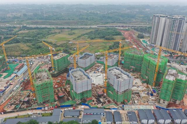开云 开云体育中国五冶中标天府新区万安四期总平景观绿化工程(图4)