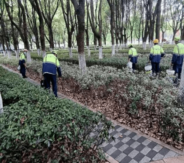 多措并举提升我区园林绿化长效管理工开云体育 开云平台作(图2)