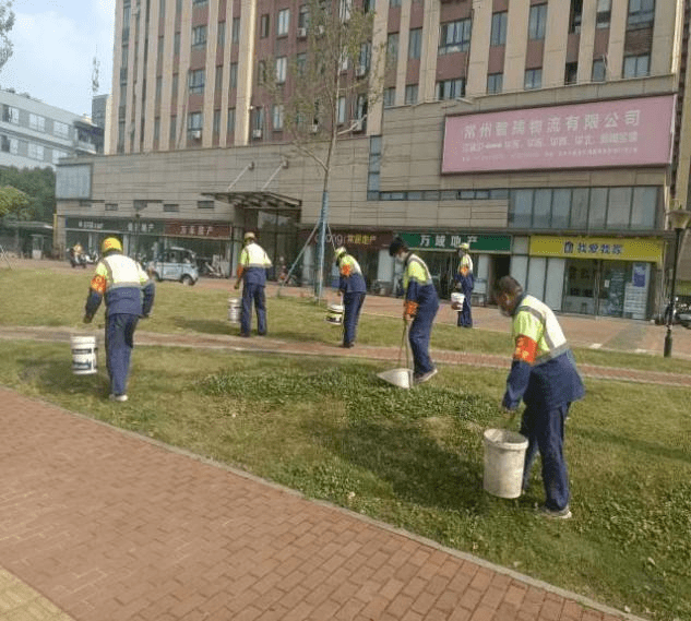 多措并举提升我区园林绿化长效管理工开云体育 开云平台作(图3)