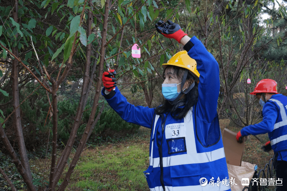展园林匠心市南开云体育 开云平台举办园林绿化行业职业技能竞赛(图4)