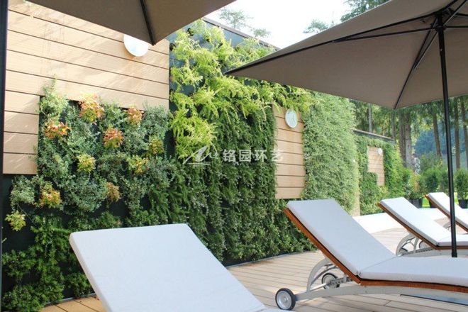 庭院垂直绿化10个别墅庭院绿化经典案例（实景图片）开云 开云体育APP(图1)
