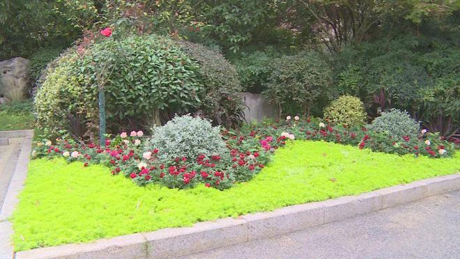 借公园城市理念 建宜居花园小城开云体育 开云平台(图1)
