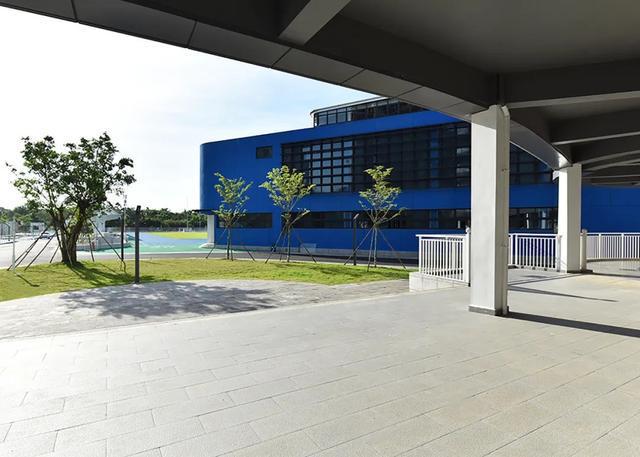 开云 开云体育小学校园：以对称的“菱形”布局围合式的庭院设计(图5)