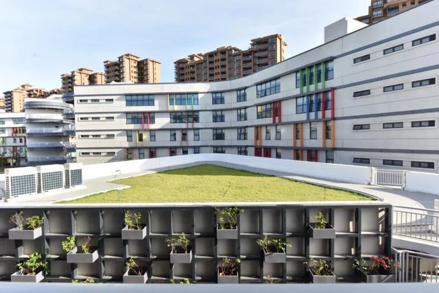 开云 开云体育小学校园：以对称的“菱形”布局围合式的庭院设计(图12)