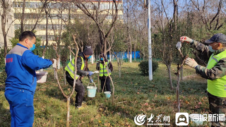 开云体育 开云平台穿外衣、细打理 济宁“城市园丁”冬季养护苗木提升绿化“颜值”(图2)