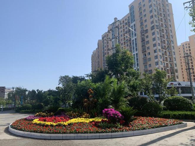 开云体育 开云平台深入学习贯彻的二十大精神 全面建设新时代社会主义现代化强区⑳天桥区园林绿化服务中心：思想引领营造整洁优美宜居的城市绿化环境(图3)