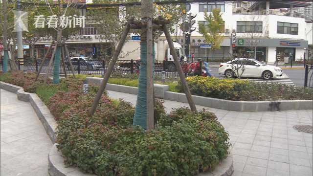 花坛挡道究竟有没有开云 开云体育错？精细化管理如何更进一步？(图1)