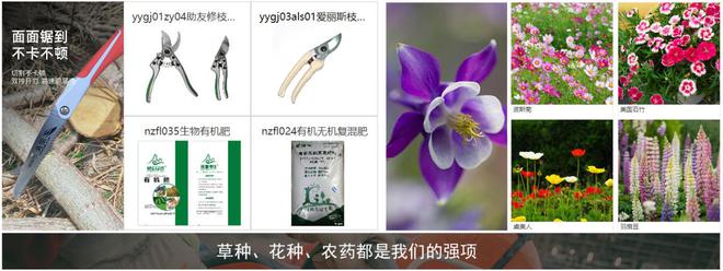 开云 开云体育平台凤祥农资浅谈园林机械行业发展特点(图3)