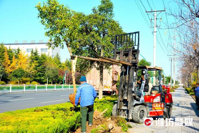徒步“找茬”查缺开云体育 开云官网补漏(图1)