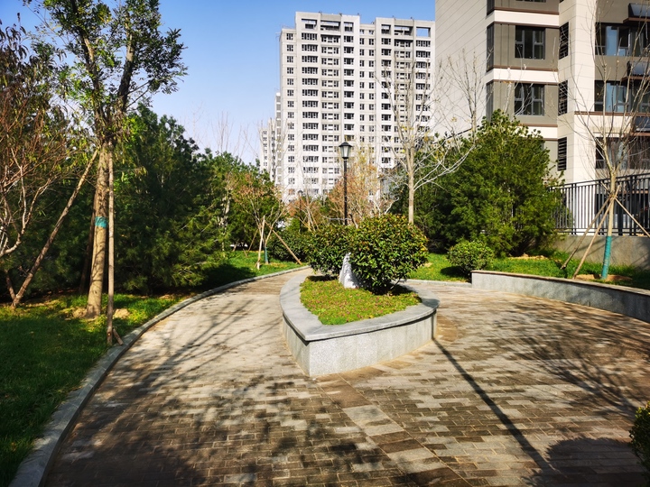 开云体育 开云平台天桥区园林绿化服务中心：思想引领营造整洁优美宜居的城市绿化环境(图2)