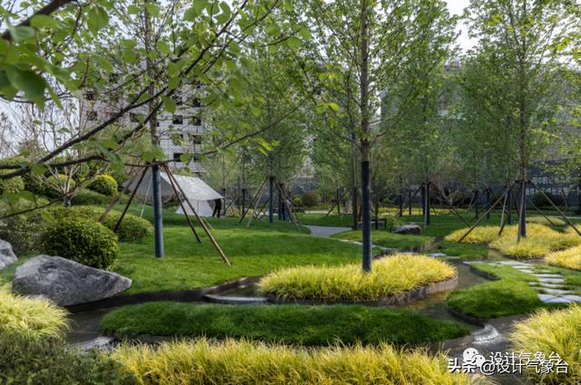 开云 开云体育官网这才叫走心的绿化设计！你那只能叫乱种树(图10)