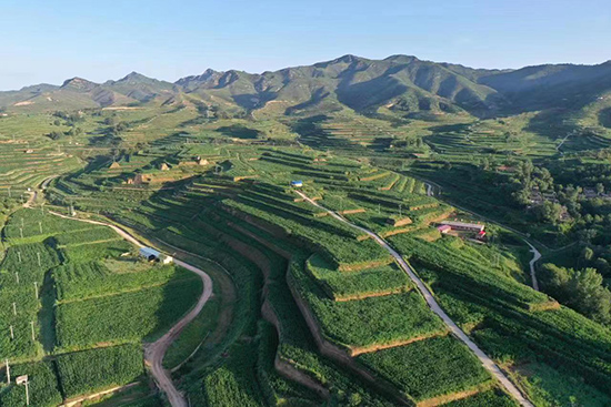 河北开云体育 开云官网：扎实推进土地整治(图1)