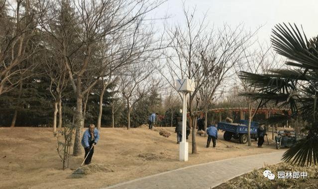 开云体育 开云平台园林绿化清园如何清？掌握这几点有效降低来年病虫害爆发量(图2)