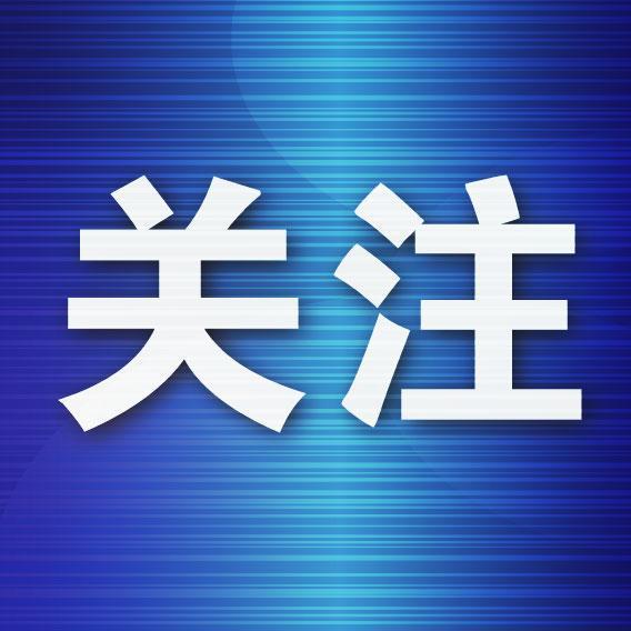 甘井子区“精修”重点路街开云体育 开云官网园林树木(图1)