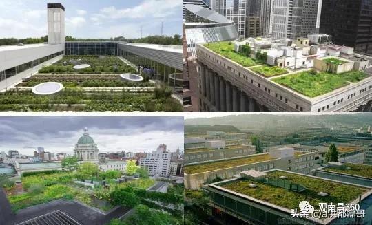 开云 开云体育平台南昌市海绵城市建设规划设计曝光！绿色屋顶效果同步出炉！(图9)