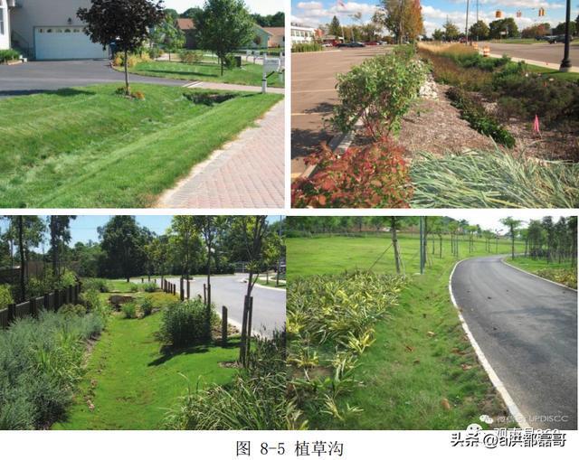 开云 开云体育平台南昌市海绵城市建设规划设计曝光！绿色屋顶效果同步出炉！(图8)