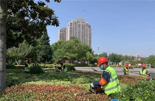 开云体育 开云平台淮安市住建局园林绿化整治提升战加快推进(图1)