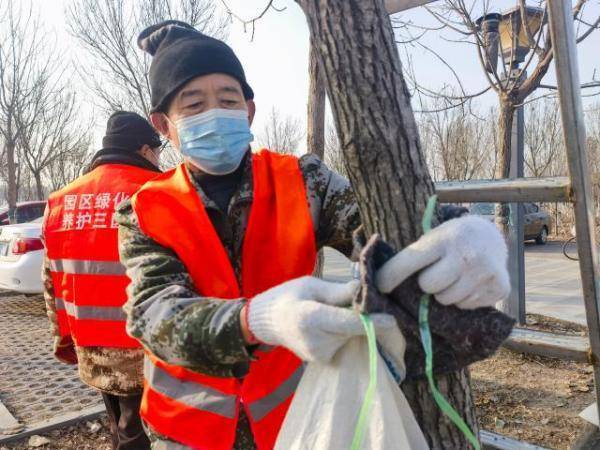 开云体育 开云平台海河教育园区：园林养护忙 冬日“不停歇”(图1)