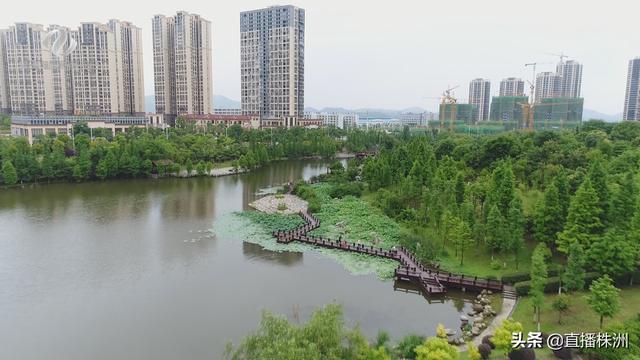 开云体育 开云官网株洲市出台公园绿地和道路绿化设计导则(图1)