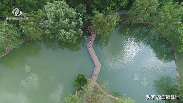 开云体育 开云官网株洲市出台公园绿地和道路绿化设计导则(图3)