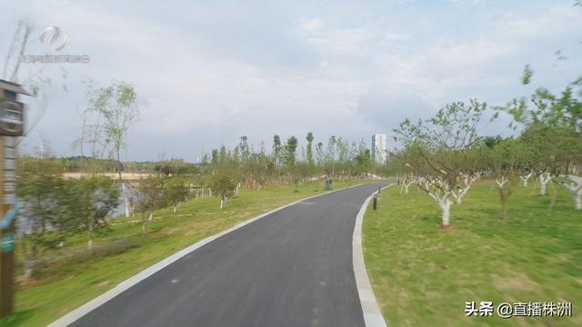 开云体育 开云官网株洲市出台公园绿地和道路绿化设计导则(图2)