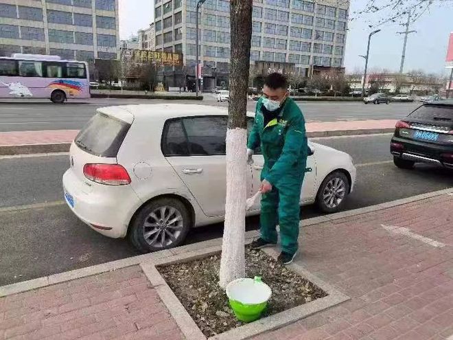 开云体育 开云官网商丘市园林绿化中心集中开展中心城区树木刷白工作(图1)