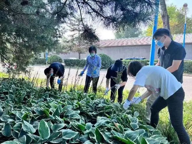 开云 开云体育平台顺义区“巾帼建功”标兵——顺义区园林绿化服务中心韩默(图1)