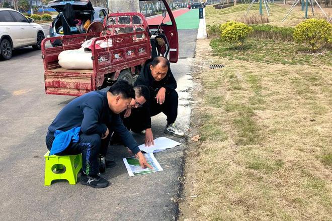 开云 开云体育APP汉中用心打造城市绿色空间(图3)