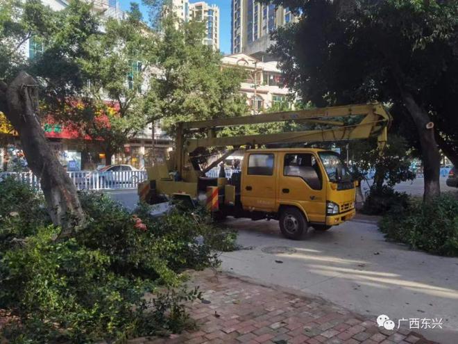 开云 开云体育官网东兴市不断提升园林绿化管养水平(图2)