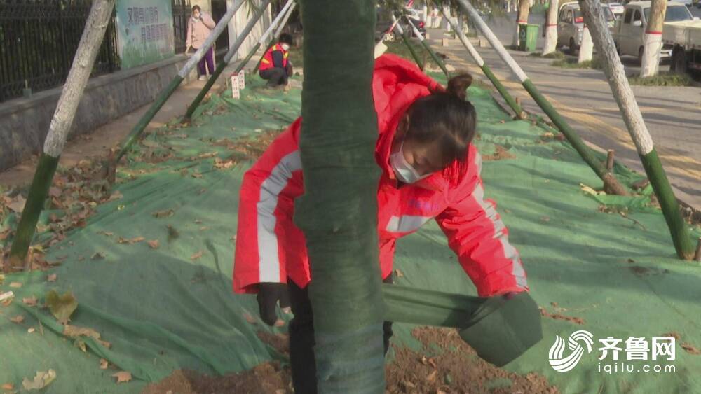 开云 开云体育官网潍坊市奎文区：开启园林绿化“防冻”模式 确保植物安全越冬(图1)